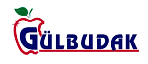 MiConv.com__ce91ff_1da86421710d4bd2bfecea3fbc37167f_mv2